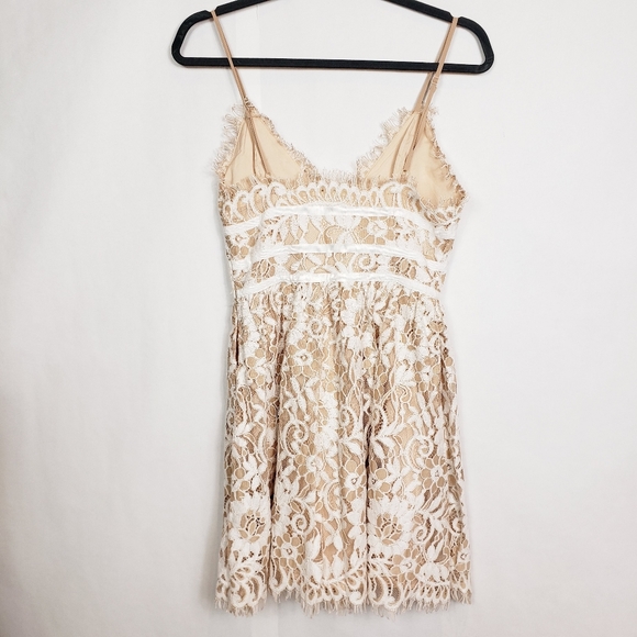 NBD lace mini dress - Picture 7 of 11